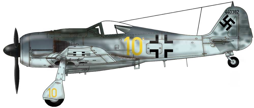 Focke-Wulf 190 'Yellow 10 + of unknown